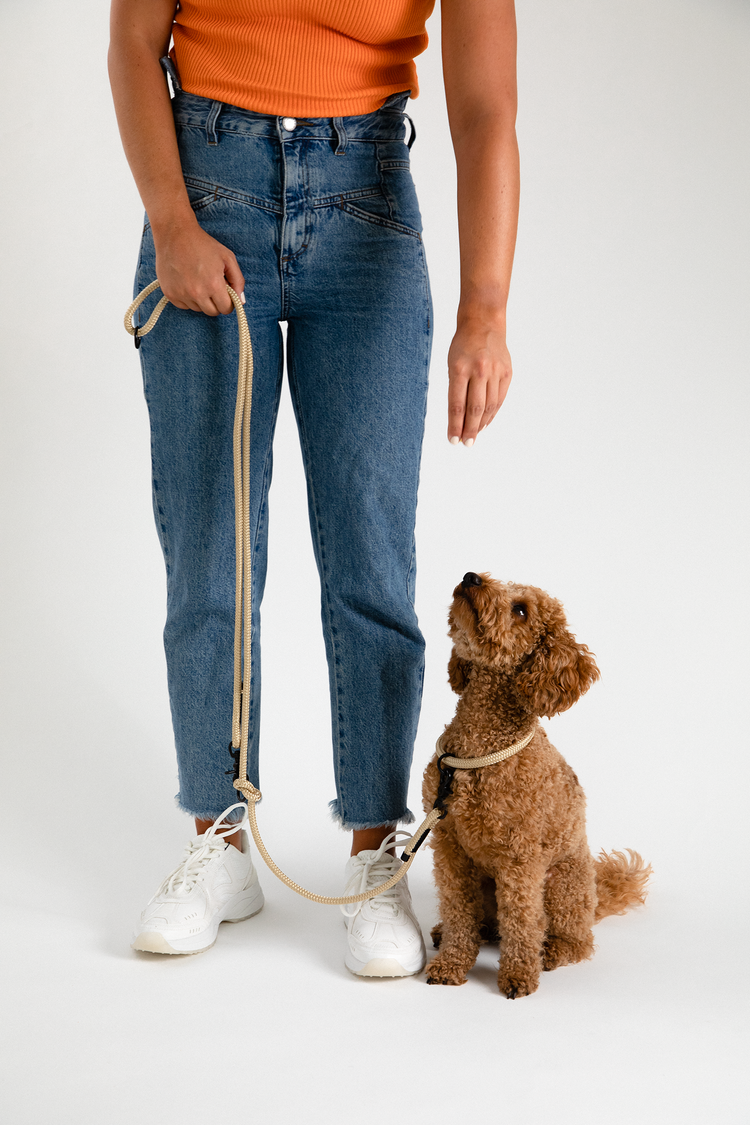 nachhaltige wooftiger Leine in beige mit Zwergpudel #color_beige