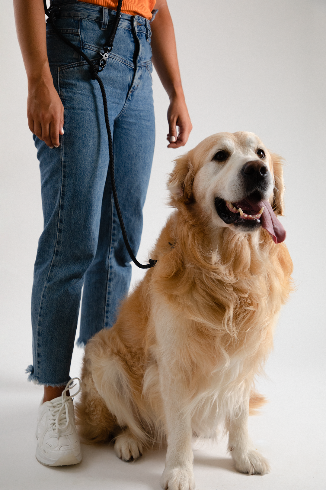 nachhaltige wooftiger Leine als Gürtel getragen in schwarz mit Golden Retriever #color_pitch-black