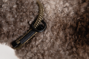 olive wooftiger Halsband für Hunde mit Zwergpudel aus nachhaltigem Material #color_olive