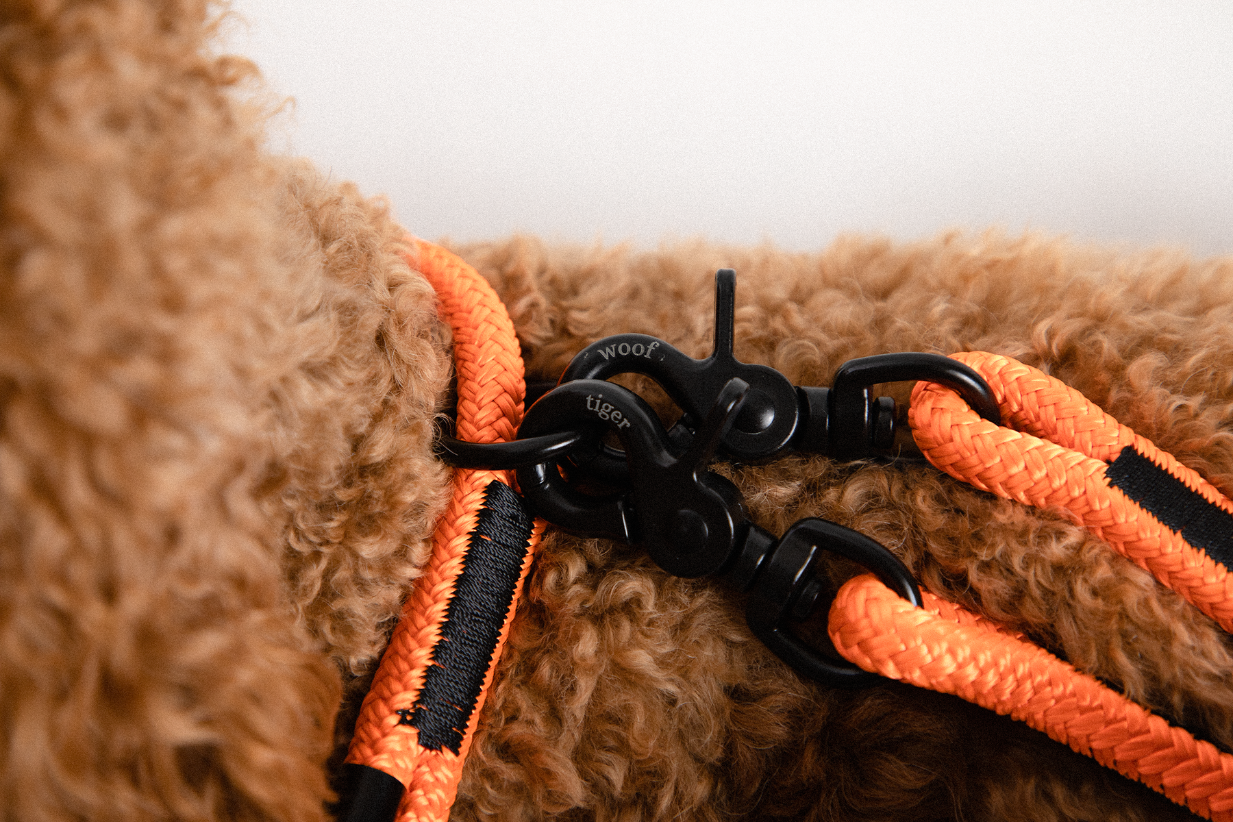 Nina Woof London City Hundehalsband aus veganem Leder,Luxus Niedlich  Hundehalsband Verstellbare Schnalle Halsband für Hunde,Gepolstert Grau über